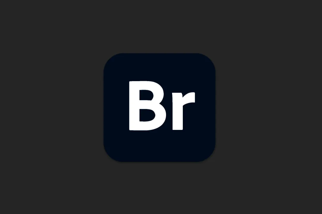 Adobe Bridge 2025 15.1.1.729